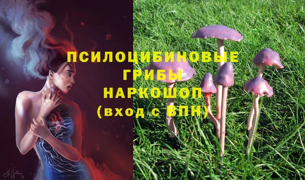 метадон Абдулино