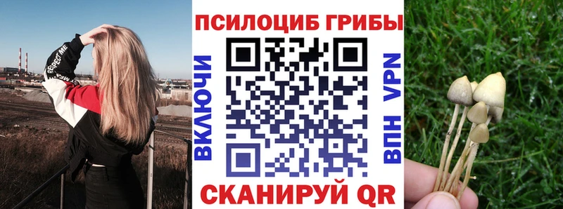 мега ТОР  Усть-Кут  Галлюциногенные грибы ЛСД 