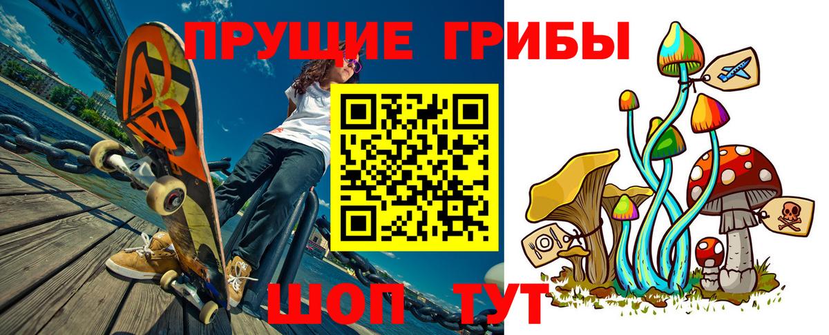 Псилоцибиновые грибы прущие грибы  закладки  Усть-Кут  Вход с VPN 