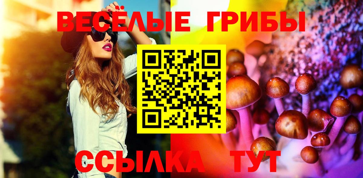 Псилоцибиновые грибы Psilocybine cubensis Усть-Кут
